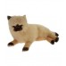 Himalayan Plush Cat Lying Down